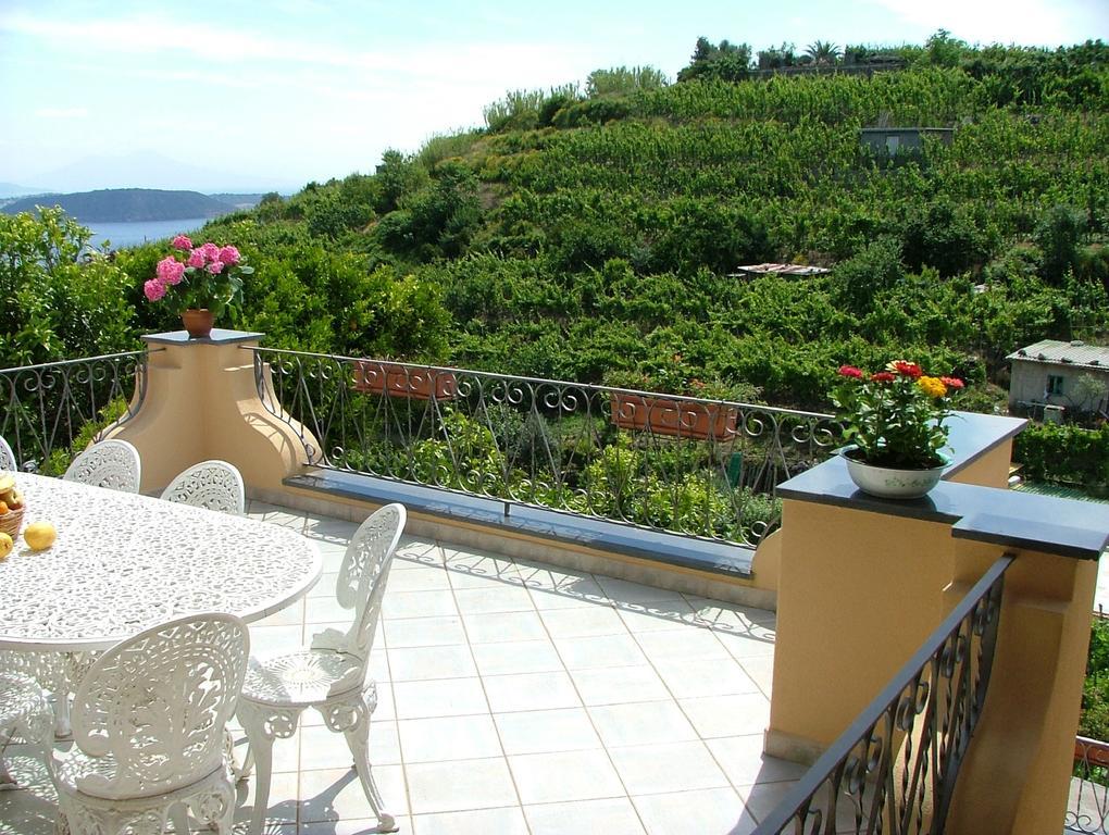 Villa Rosalia Barano d'Ischia Exterior photo